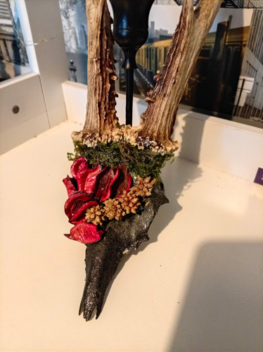 Deer antler wood taper dinner - deer,